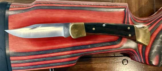 My Buck 110.webp