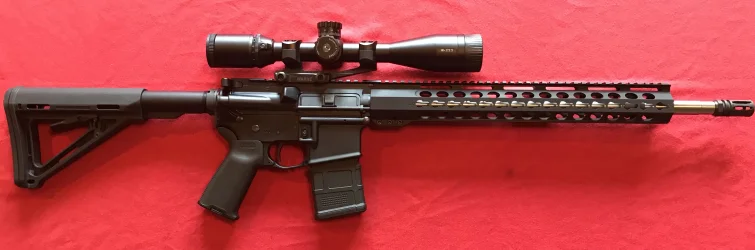 PSA .223 Wylde AR-15.webp
