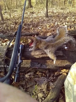 319177848_718981666144363_2224496017351349563_n (1) (1) rifle and hunting place (1).webp