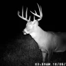 BuckDoeHunter