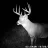 BuckDoeHunter